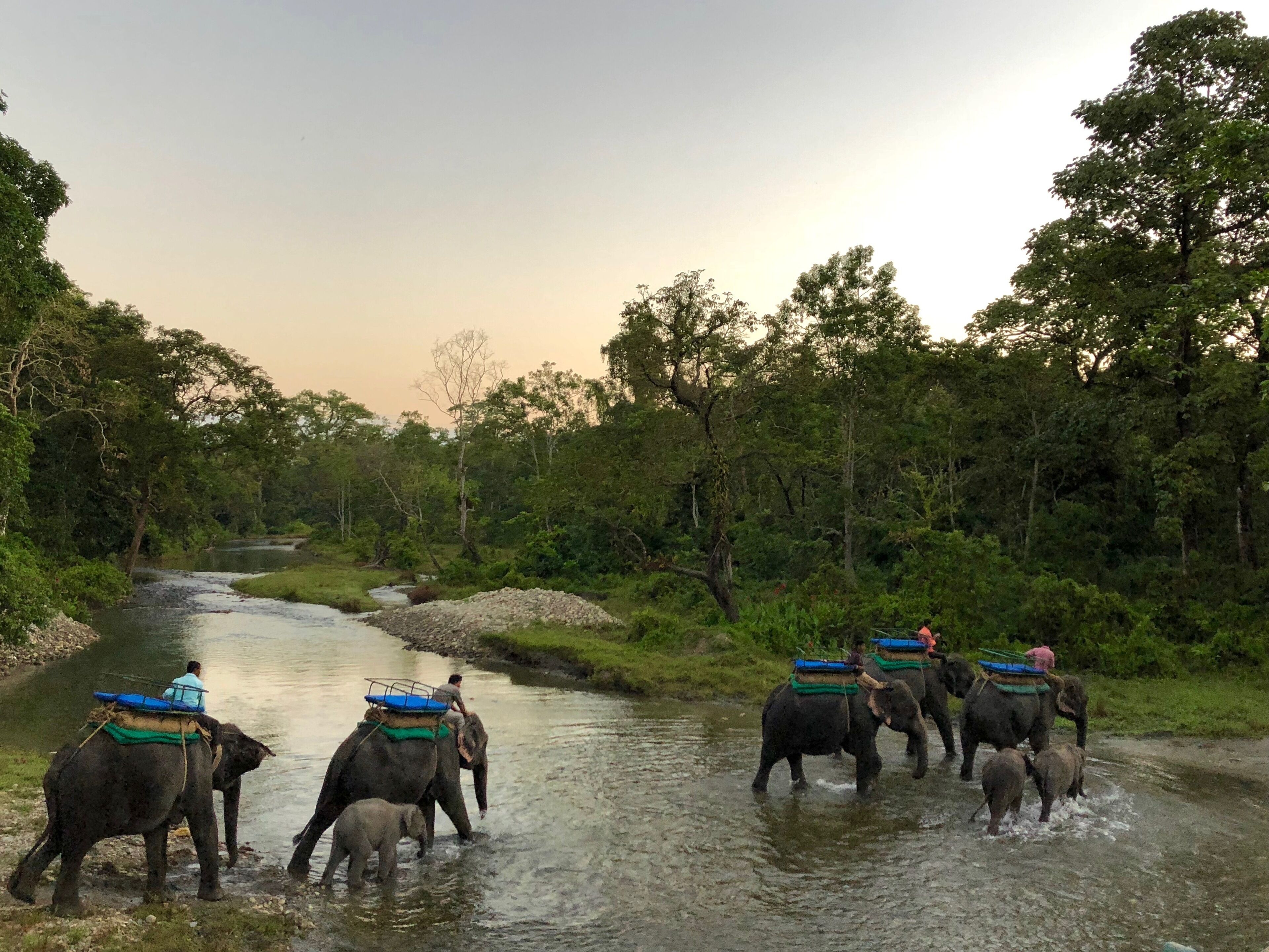 Indu Tours & Travels